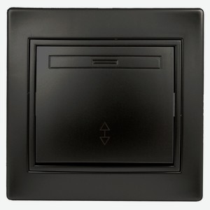Переключатель одноклавишный Intro 10А-250В IP20 СУ антрацит Plano 1-103-05