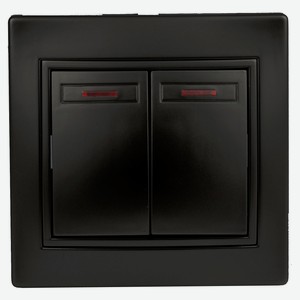 Выключатель двойной Intro с подсветкой 10А-250В IP20 СУ антрацит Plano 1-105-05