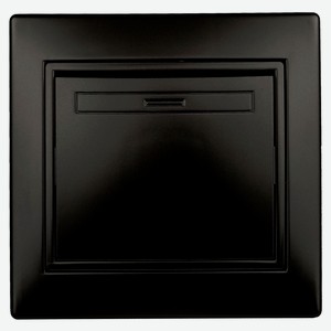Выключатель одноклавишный Intro 10А-250В IP20 СУ антрацит Plano 1-101-05