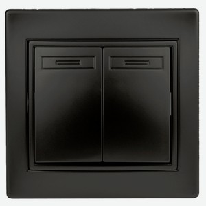 Выключатель Intro Plano 1-104-05 двухклавишный 10А-250В IP20 СУ антрацит