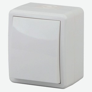 Выключатель «Эра» 11-1401-01 IP54 10АХ-250В ОУ