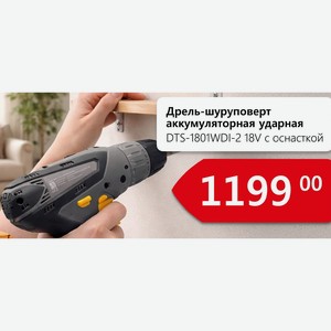 Дрель-шуруповерт аккумуляторная ударная DTS-1801WDI-2 18V с оснасткой