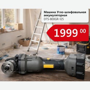 Машина Угло-шлифовальная аккумуляторная DTS-800GR-125