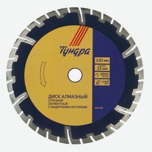 Диск алмазный отрезной Тундра 230х22 мм, сегментный с защитными секторами, сухой рез (1857766)