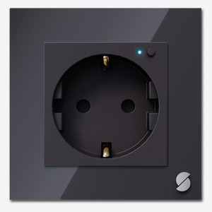 Умная розетка SIBLING Powerswitch-W1-B Black