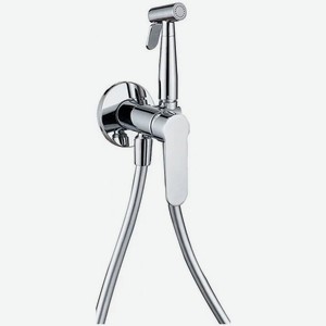 Смеситель с гигиеническим душем Aquanet Passion AF300-52С хром