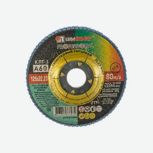 Круг лепестковый торцевой Луга 125 x 22,2 тип КЛТ1 Р60 3656-125-25