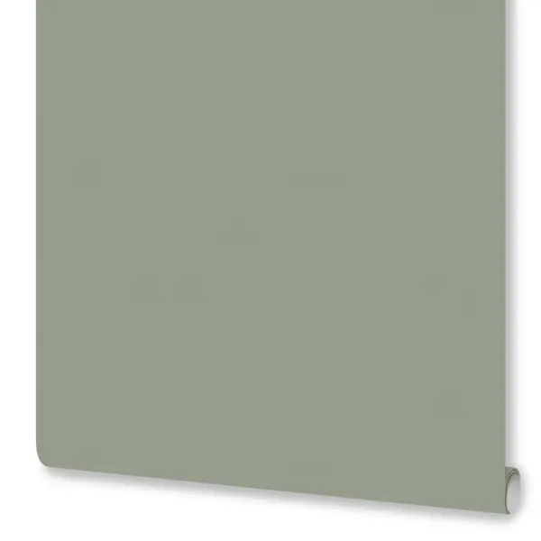 Обои флизелиновые Euro Decor Physalis зеленые 1.06 м ED7308-12