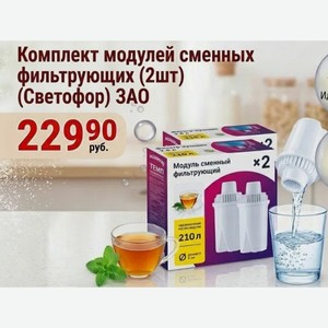 Комплект модулей сменных фильтрующих (2шт) (Светофор) ЗАО
