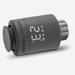Термоголовка Royal Thermo RTSMARTHS