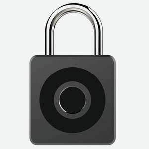 Умный замок Digma умный навесной замок SmartLock C1 Black (SRC1)