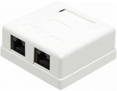 Розетка RJ-45+RJ-45 открытый монтаж категория 5e, TWT (TWT-SM2-4545-WH)