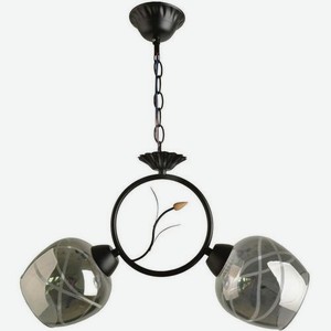 Светильник HIPER Zolla H173-1, 2 х , черный