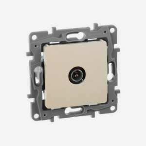 Розетка телевизионная Legrand Etika скрытая, слоновая кость [672351]