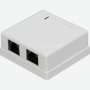 Розетка Lanmaster (TWT-SM2-4512-WH) настен.RJ45+RJ12 1 кат.5e UTP бел. (упак.:1шт)