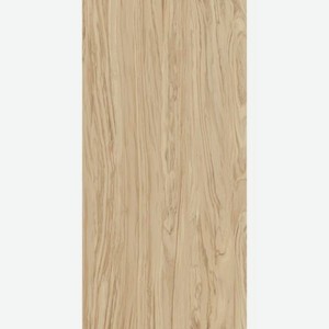Плитка Kerama Marazzi Олива бежевый обрезной SG565200R 60x119,5 см