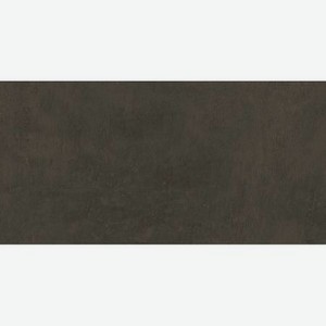 Плитка Kerama Marazzi Про Фьюче коричневый обрезной 60x119,5 см DD592800R
