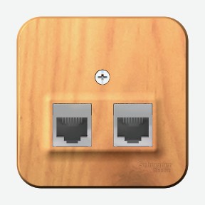 Розетка 2-ая компьютерная rj45 ясень Schneider Electric