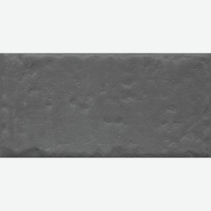 Плитка Kerama Marazzi Граффити 19067 20x9,9 см Темно-серый