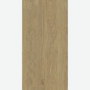Плитка ColiseumGres Мерано 610010001980 22,5x90 см