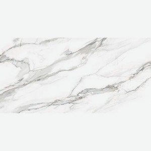 Плитка Delacora Omega Silver D12053M 120x60 см