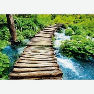 Фотообои Eurographics stairway to heaven i 254x366 (DW-DT2078)