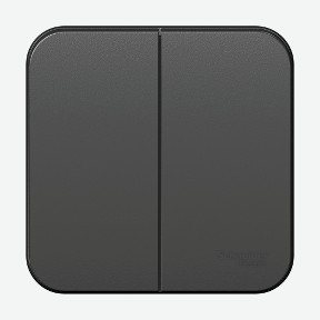 Выключатель 2-клавишный 10а 250b антрац. Schneider Electric