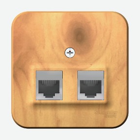 Розетка 2-ая комп.rj45+тел.rj11 ясень Schneider Electric