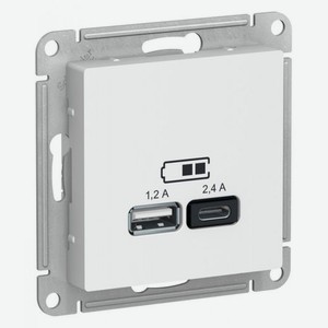 Розетка Schneider Electric usb a+с 5в/2.4 2х5в/1.2 белый