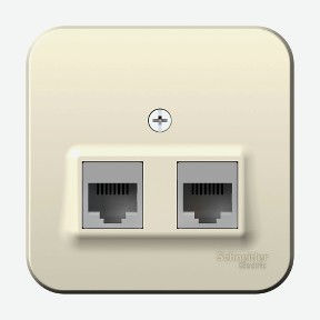 Розетка 2-ая компьютерная rj45 молочный Schneider Electric