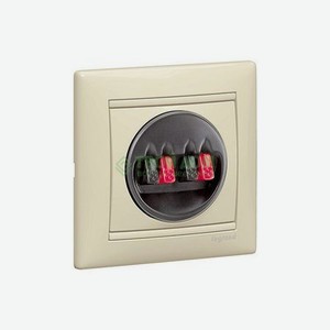 Мультимедийная розетка Legrand Valena (774324)