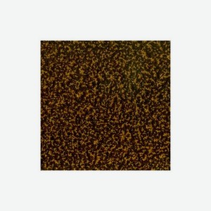 Лист притопочный стальной прямой 1000 Grillux ВЗР2383-02