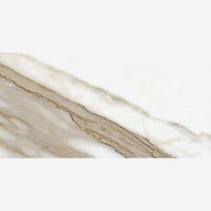 Плитка Fanal Pulido NPlus Calacatta 60х120 см